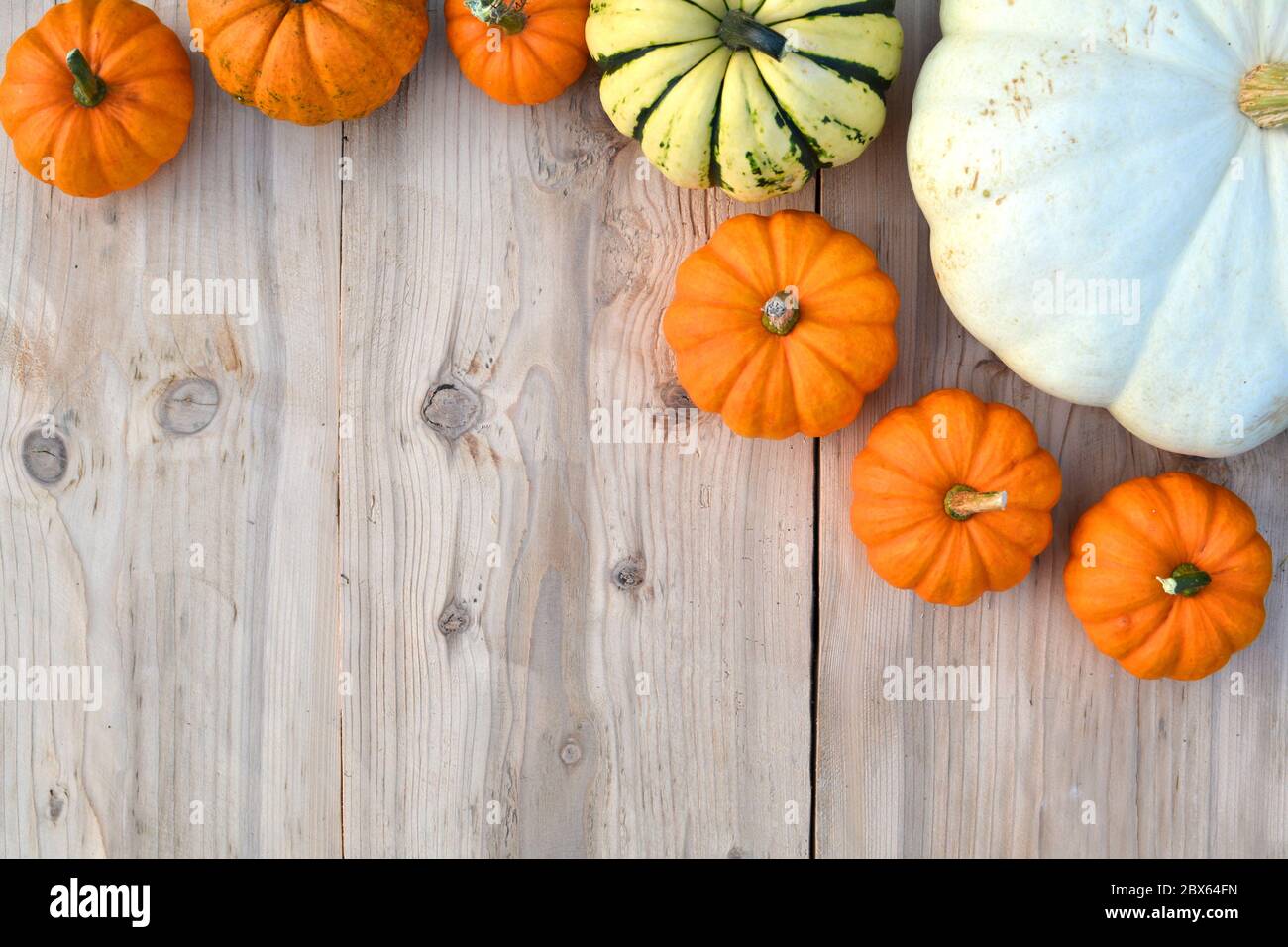 Various pumpkins and squashes on wooden background Stock Photo