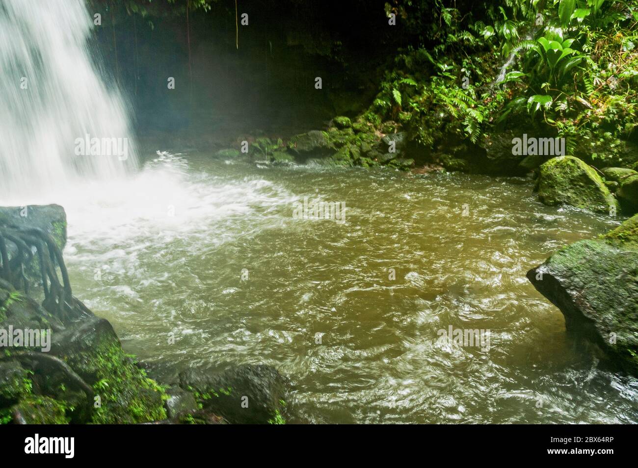 Clear mountain water of a waterfall cascading down the rocks foams as it enters an emerald green pool surrounded by mossy rocks and lush vegetation Stock Photo