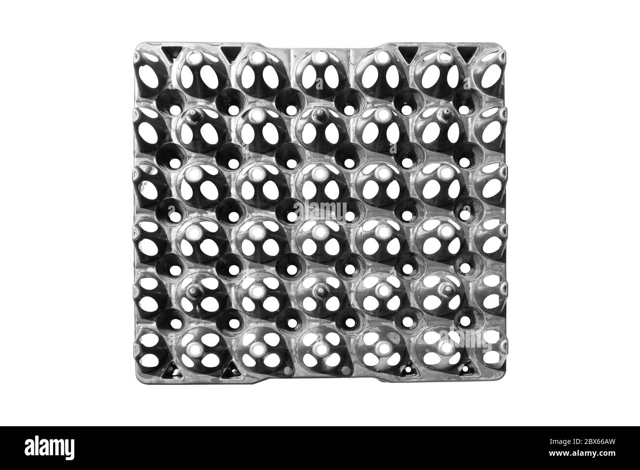 Top view empty eggs package, Isolated on white background. with clipping path. Stock Photo