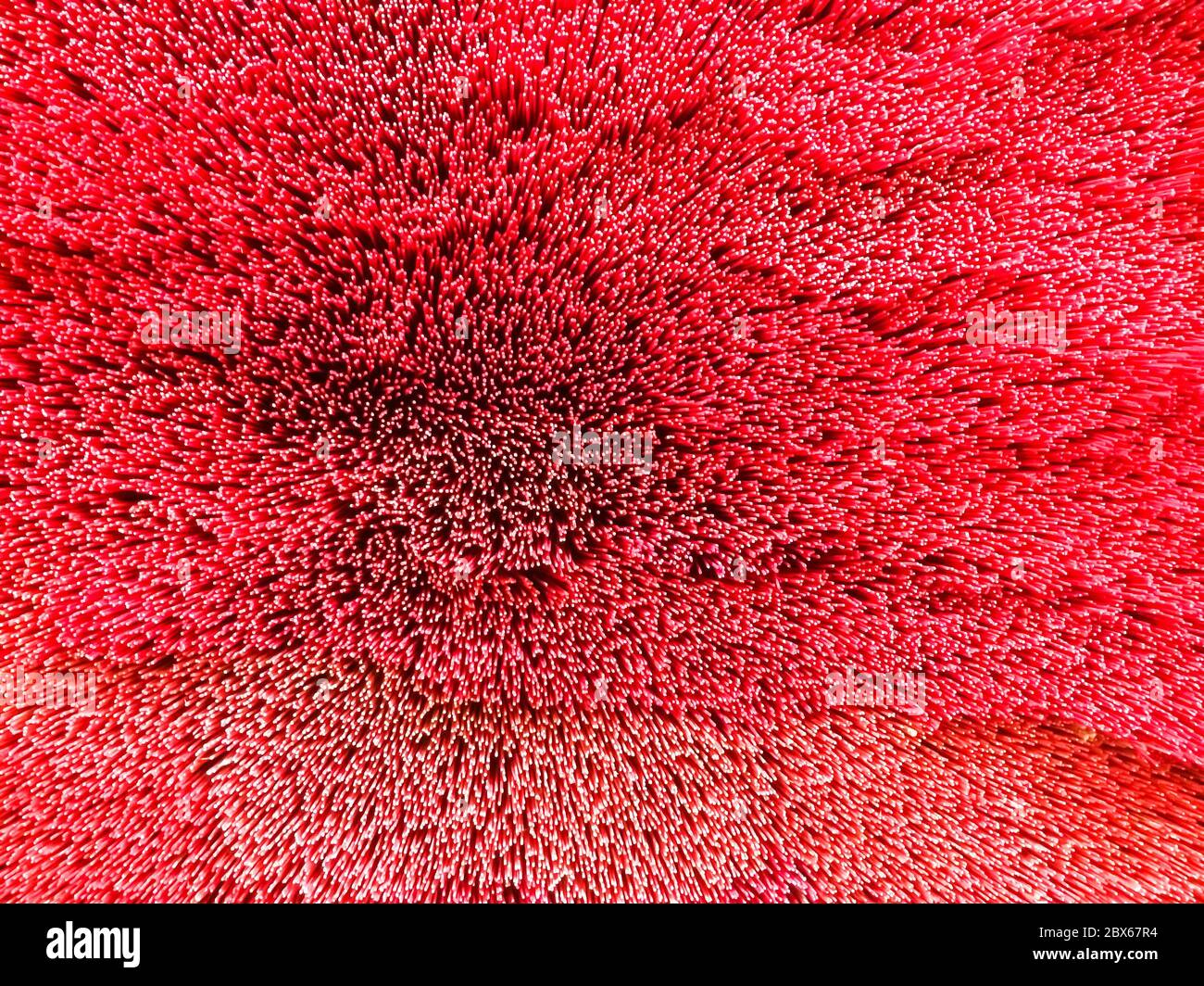 Textures of incense sticks red color at put is overlapping, Select focus, blurry. Stock Photo