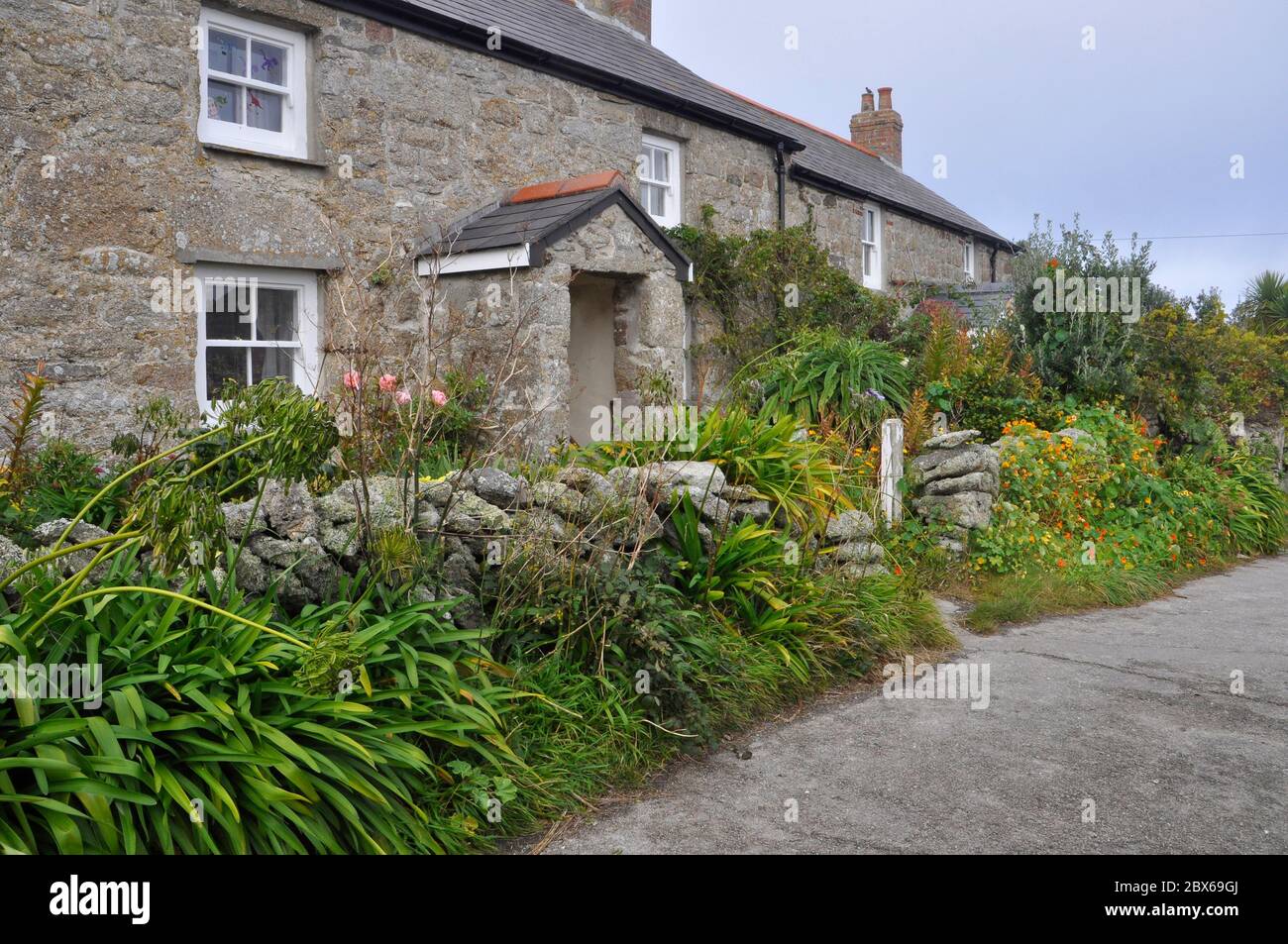 Cottages with flower covered pebble walls on the road from Higher Town to the quay on St Martins one of the five inhabited islands in the Isles of Sci Stock Photo