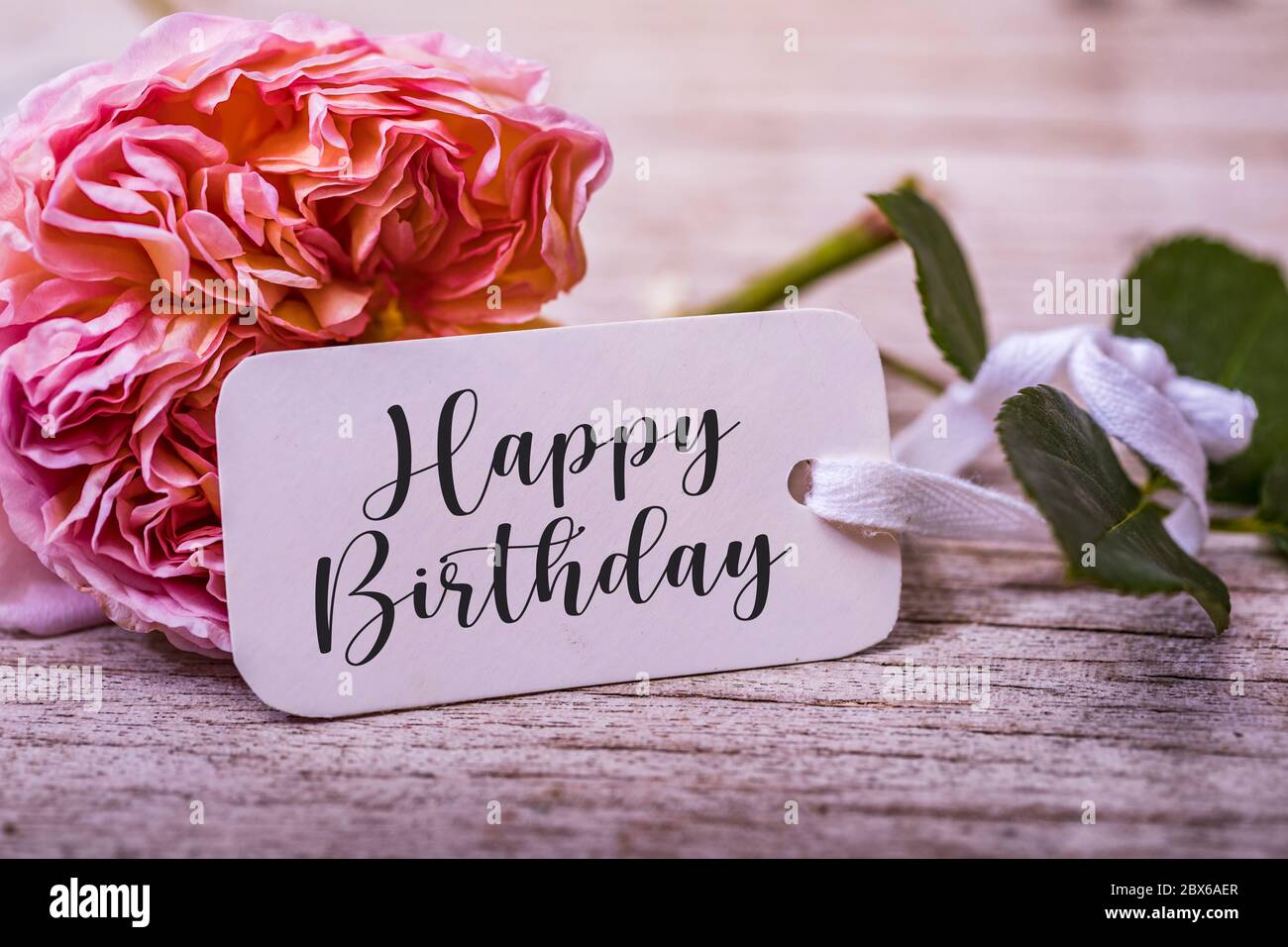 Birthday background with flowers and card. Rose and happy birthday word on  white card. Pastel colors on selective focus image Stock Photo - Alamy