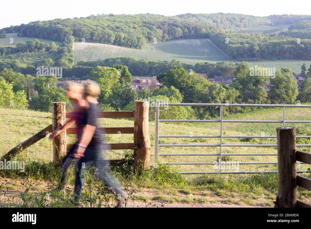Woodland gate and fence hi-res stock photography and images - Alamy