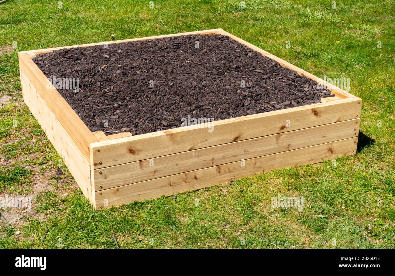 Newly constructed raised bed garden, made from cedar wood, and filled