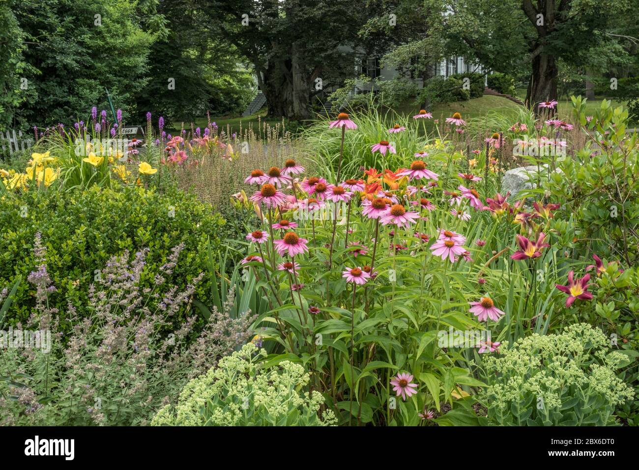 A flower garden hires stock photography and images Alamy