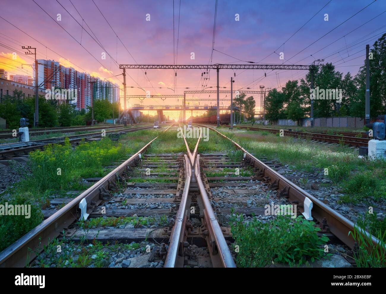 Railway station with freight trains at colorful sunset Stock Photo
