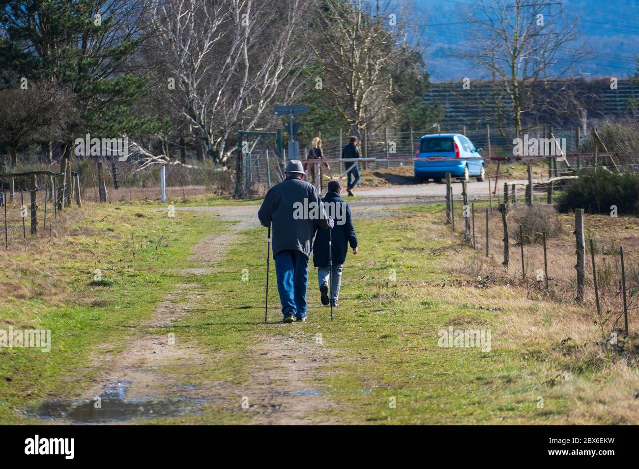 Altes Ehepaar geht im Wald spazieren Stock Photo