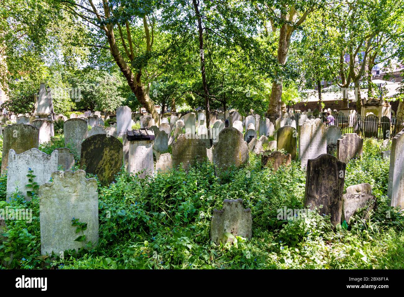 Old overgrown headstones at the Victorian Bunhill Fields Burial Ground, Old Street, London, UK Stock Photo