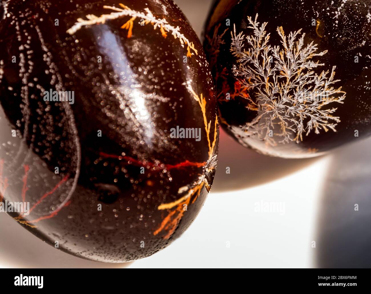 Millennium egg hi-res stock photography and images - Alamy