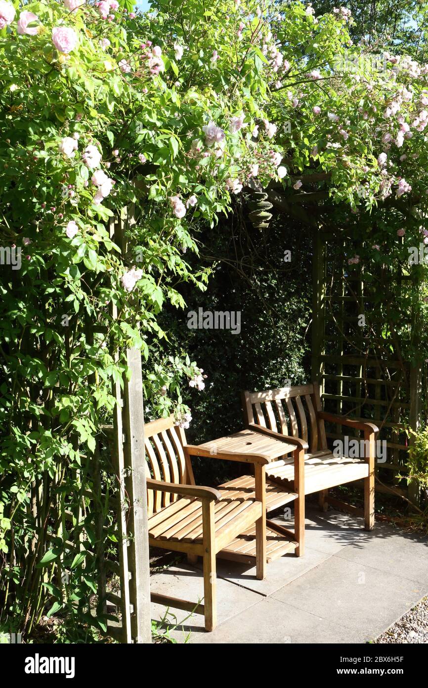 Wooden Garden Chairs And Table Under An Arch Covered With Flowering Roses Stock Photo Alamy