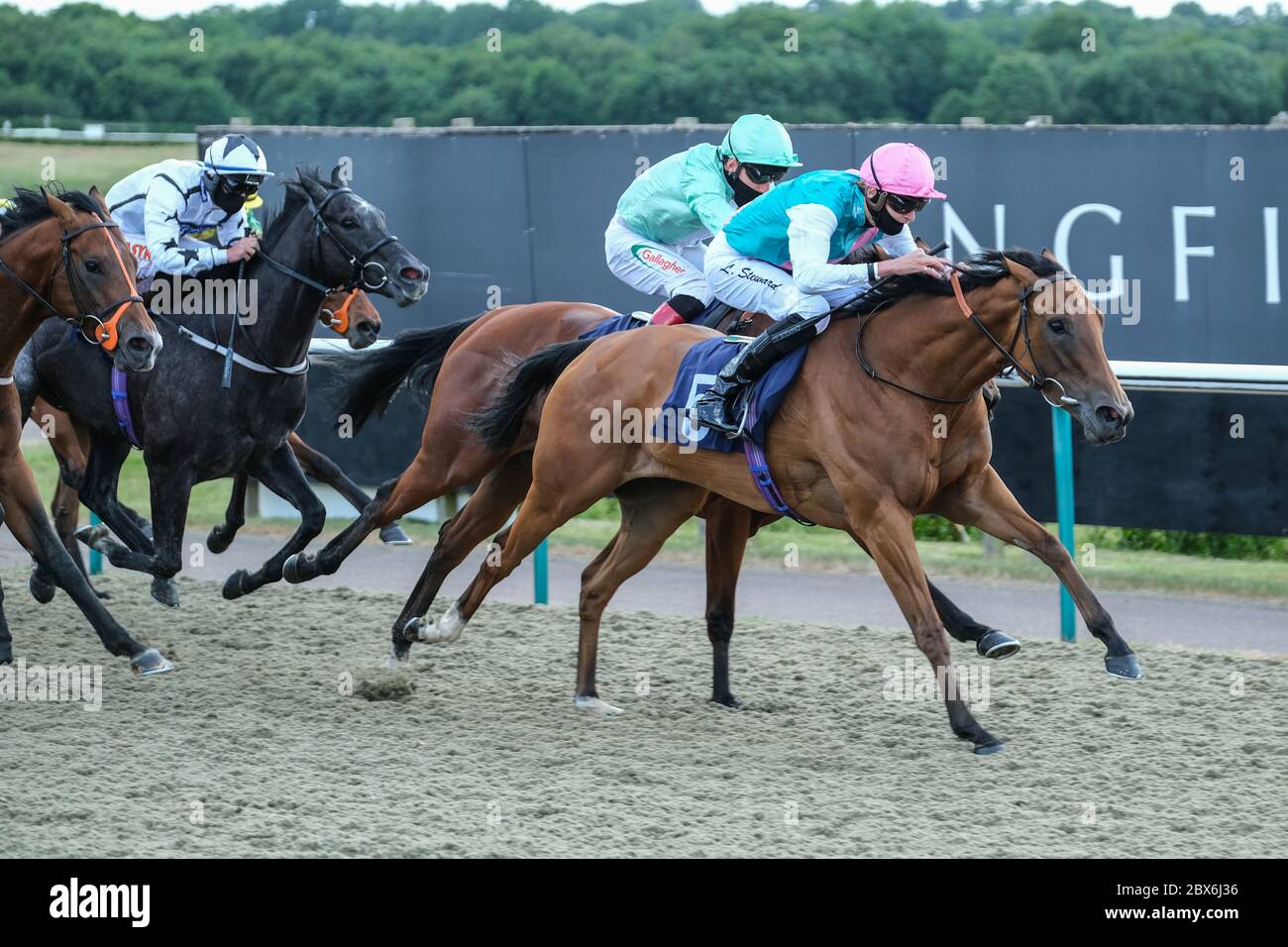 Jovial Ridden By Louis Steward Wins The Betsafe Free Bet If 2nd Handicap At Lingfield Racecourse Stock Photo Alamy
