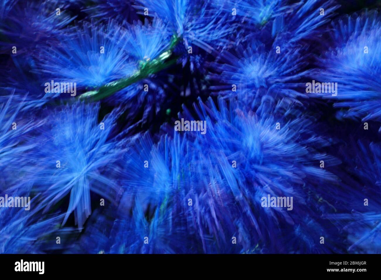 Striking blue floral patterns hi-res stock photography and images - Alamy