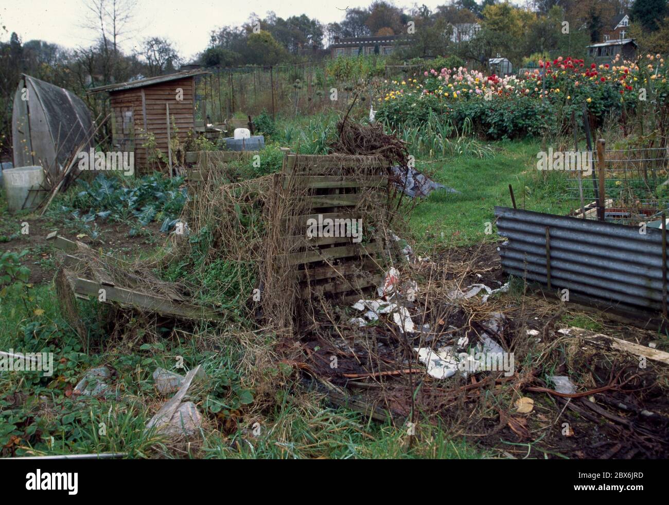 Allotment neglected uk hi-res stock photography and images - Alamy