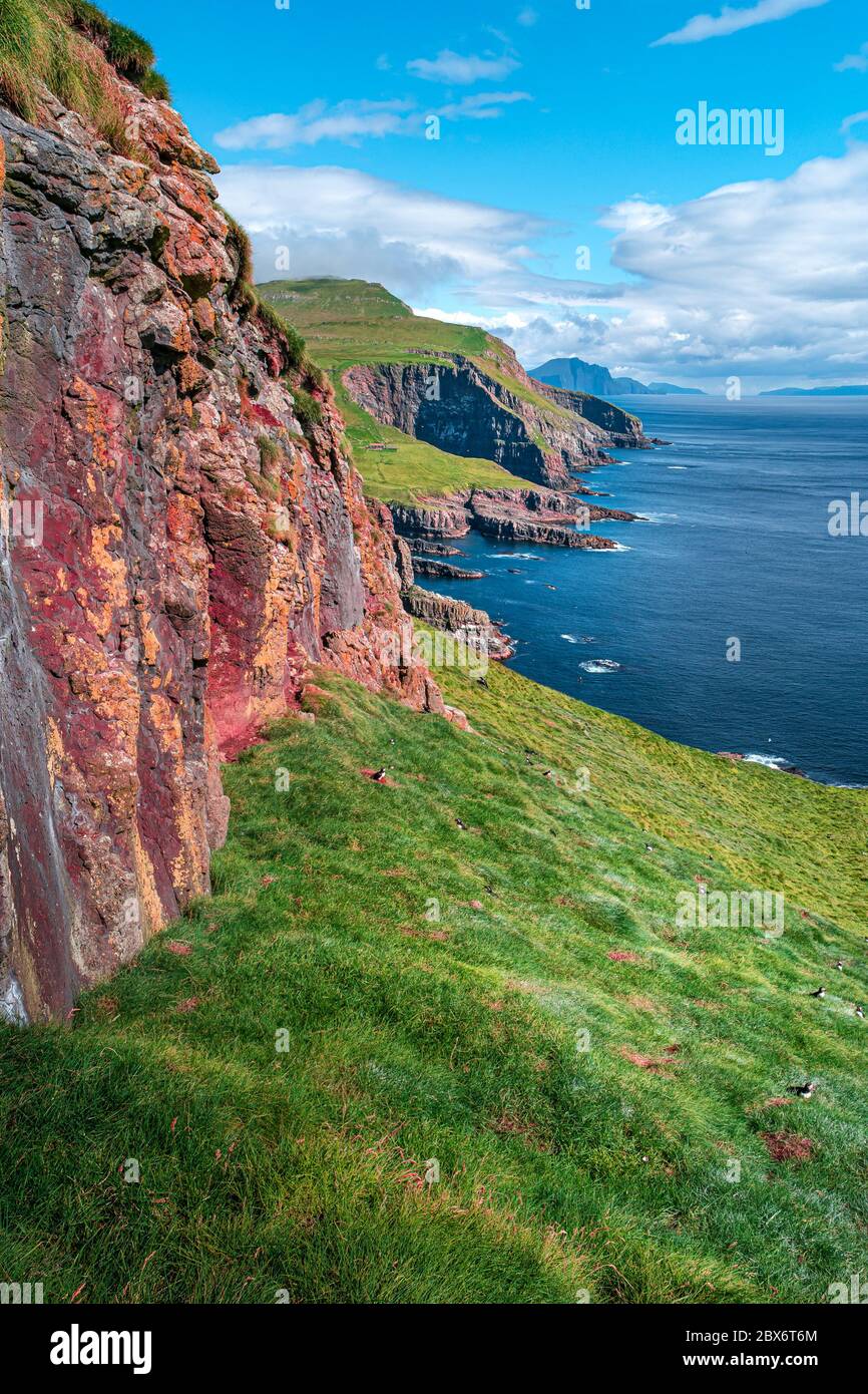 Mythical Faroe Islands in the middle of Atlantic Ocean with a lot of puffins, parrot like seabirds Stock Photo