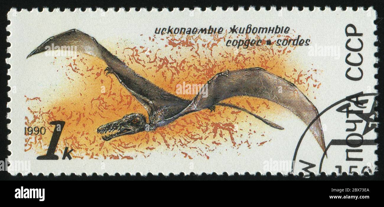 RUSSIA - CIRCA 1990: stamp printed by Russia, shows  Prehistoric Animals, Sordes, circa 1990. Stock Photo