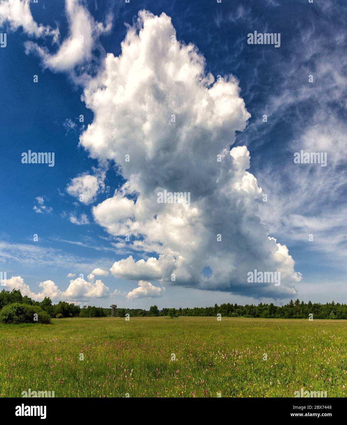Thundercloud over a meadow, Schwarzes Moor, Rhoen, Hesse, Germany Stock Photo