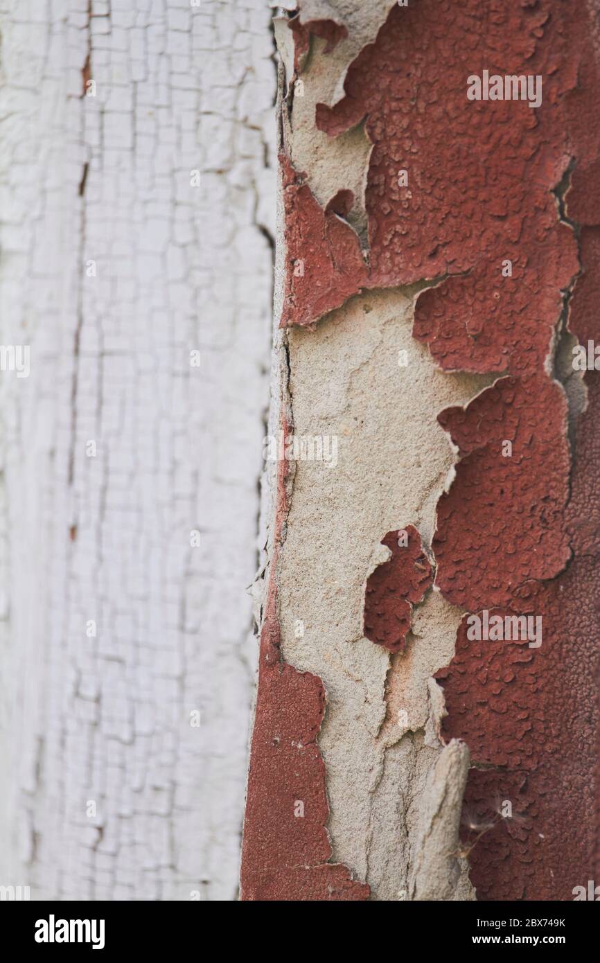 Old flaky cracked paint on gray wall, old paint background, selective focus Stock Photo
