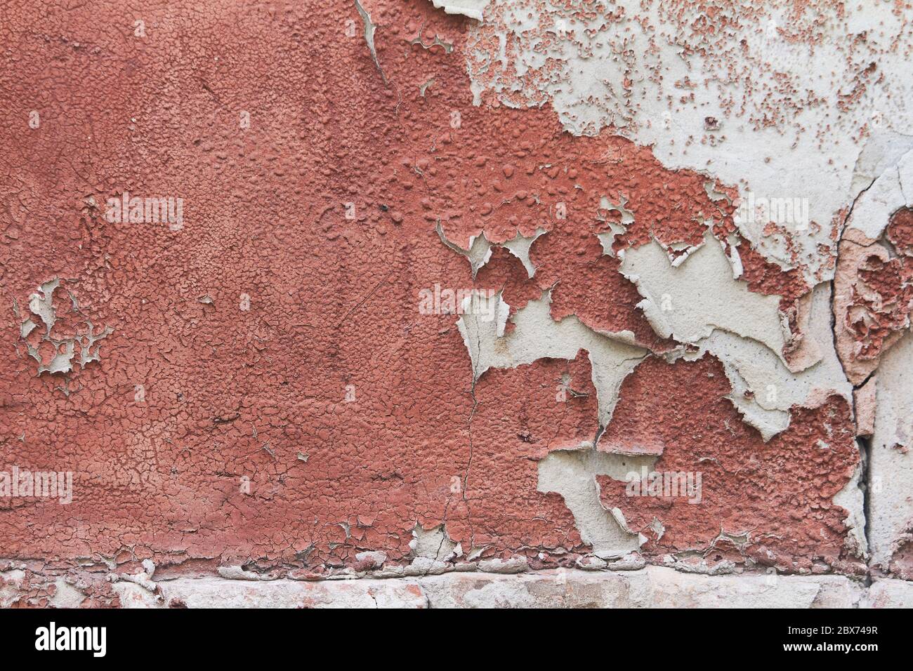 Old flaky cracked paint on gray wall, old paint background, selective focus Stock Photo