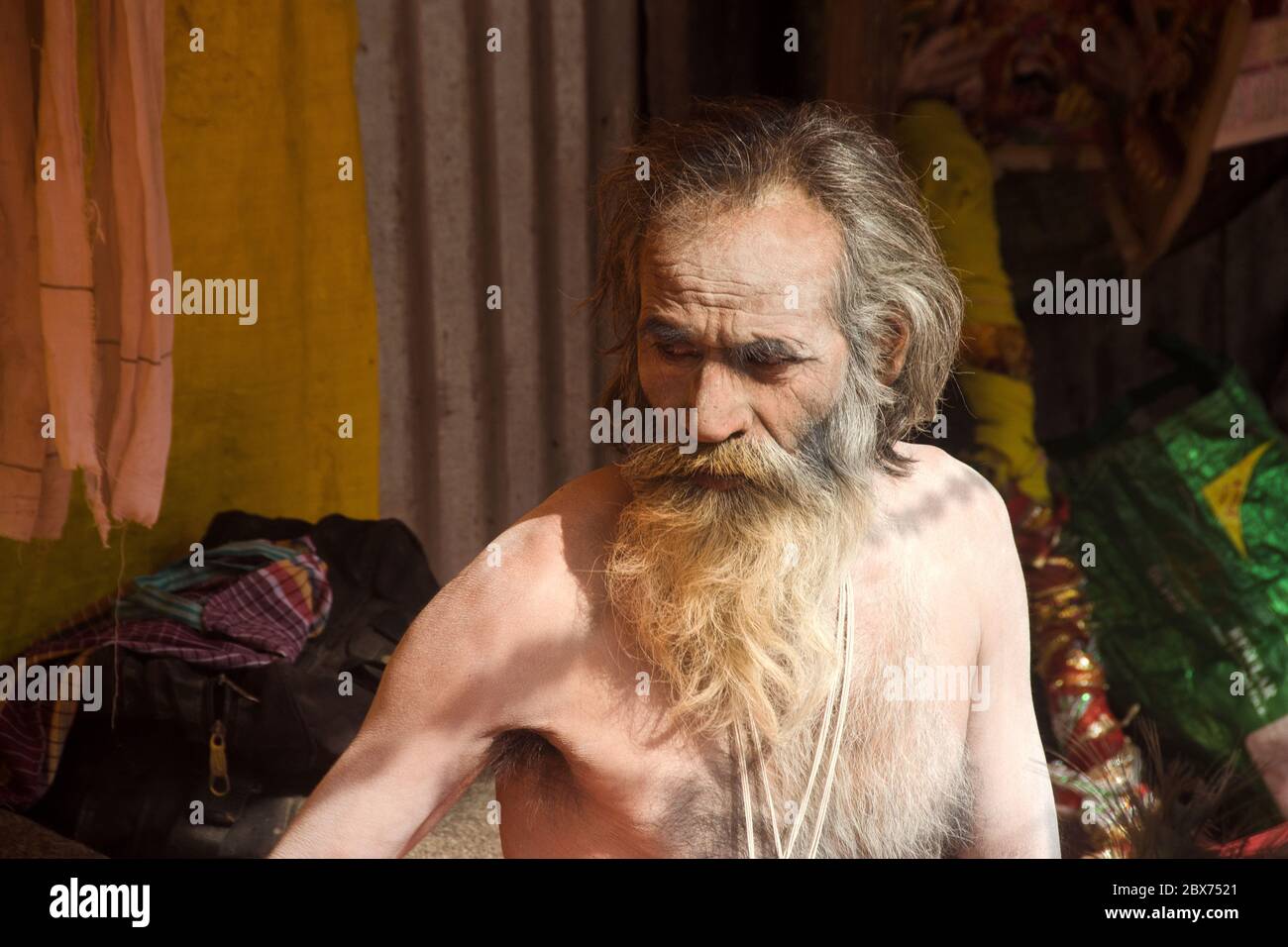 portrait of a sadhu at gangasagar transit camp kolkata west bengal india Stock Photo