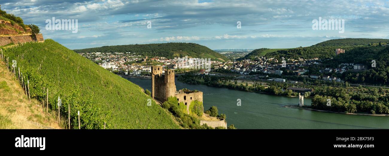 Panorama of castle Ehrenfels near Ruedesheim, Hessen, Germany Stock Photo
