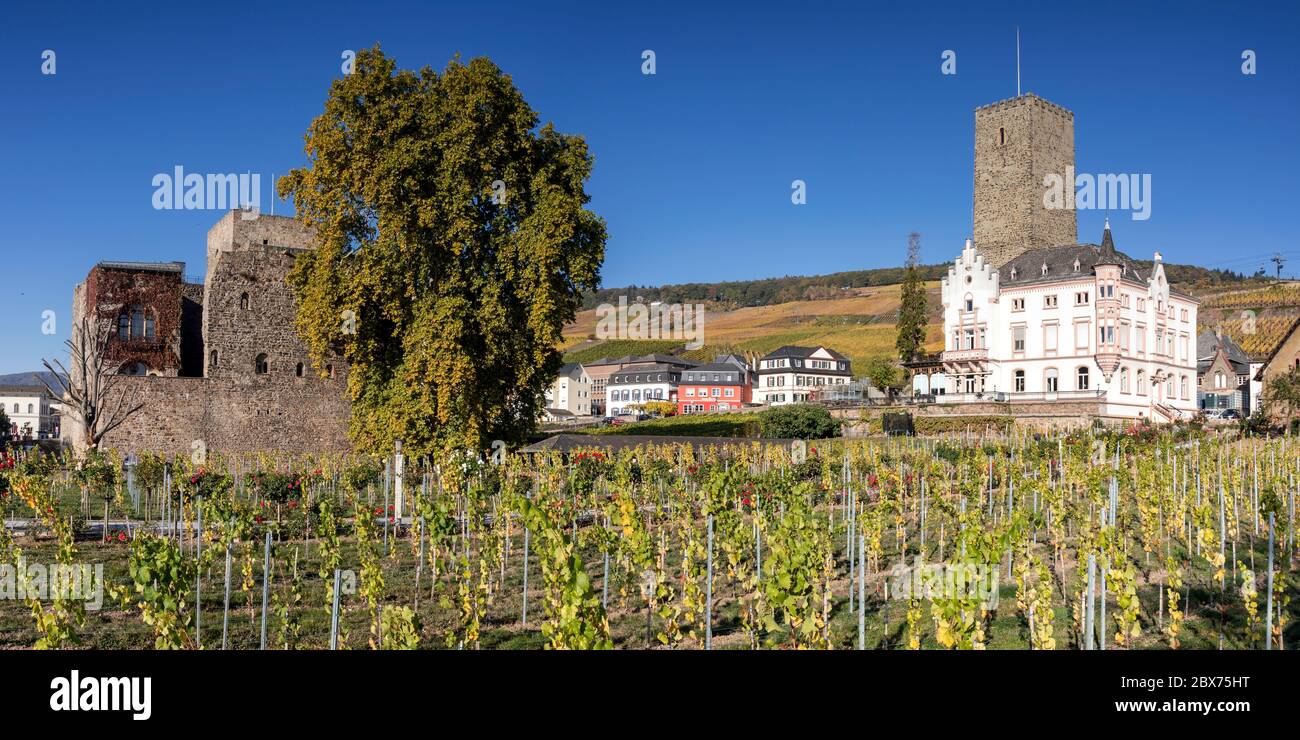 Medieval castle Boosenburg, Ruedesheim, Germany Stock Photo
