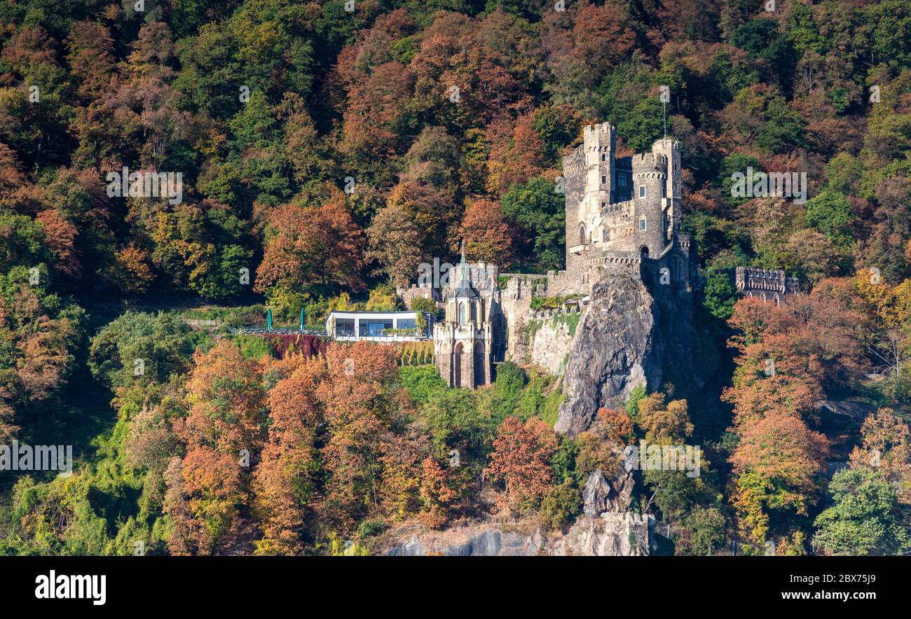 Palatinate forest palatine forest hi-res stock photography and images ...