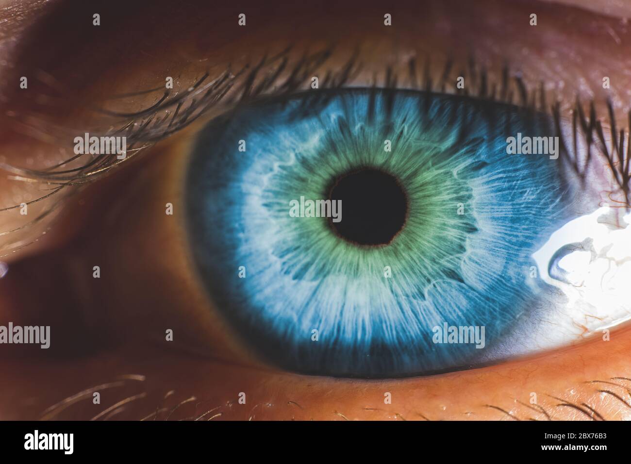 Macro close up view image of human eye Stock Photo - Alamy
