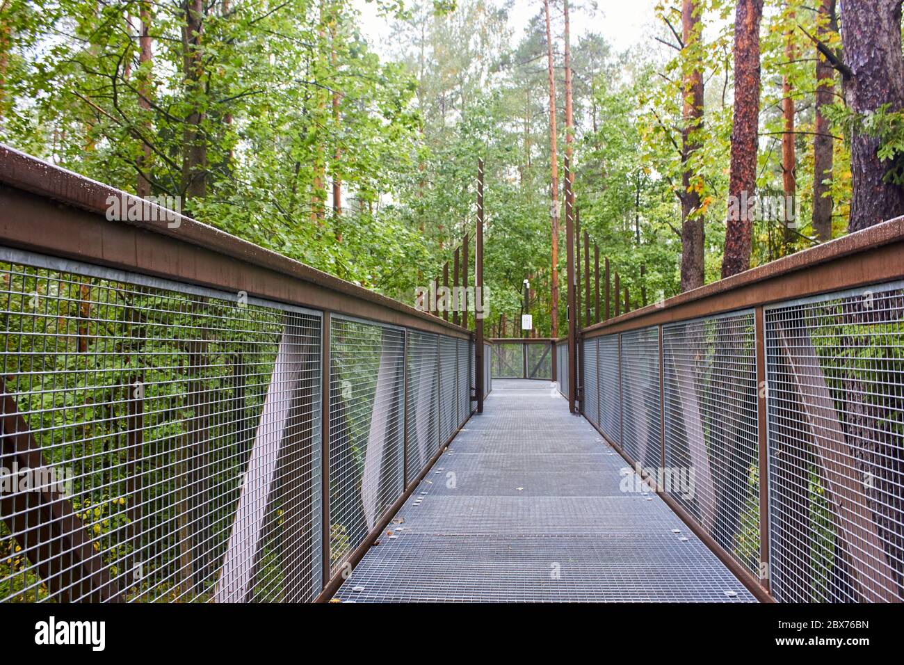 Footbridge in the forest for tree top sightseeing Stock Photo