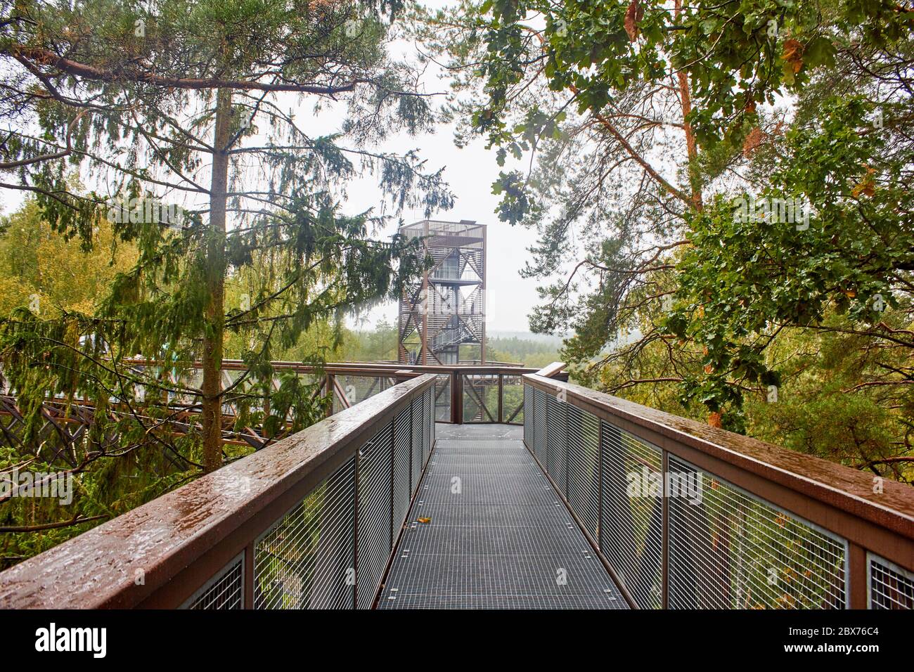 Footbridge in the forest with tower at the end. Stock Photo