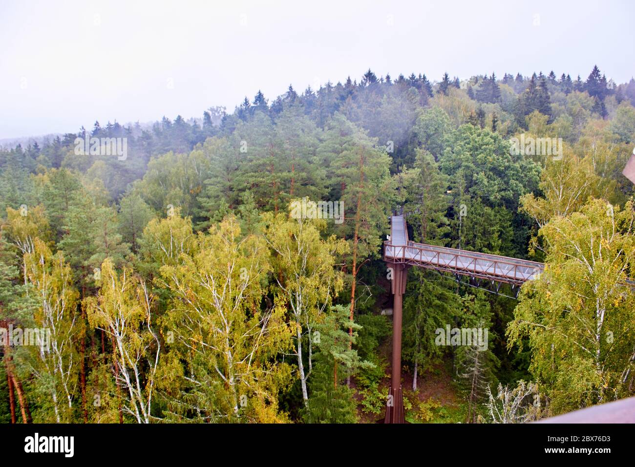 Footbridge in the forest in autumn on a rainy day Stock Photo