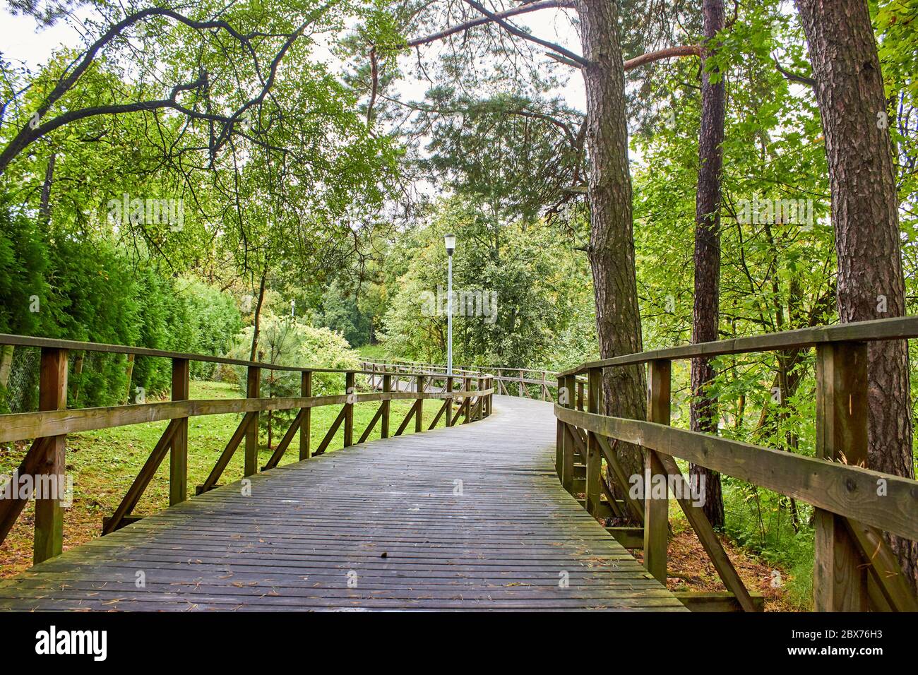 Wooden foot bridge in the forest Stock Photo