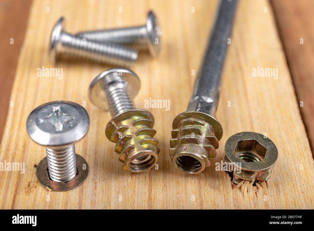 Special screws for joining wood. Carpentry accessories for building