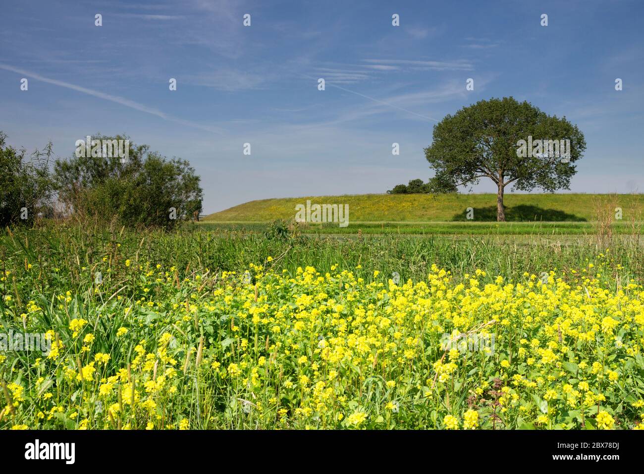 View at a dike Stock Photo
