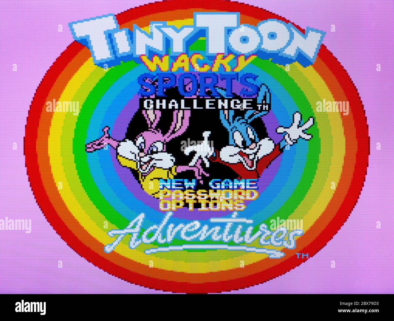 Tiny Toon Adventures Wacky Sports Challenge - SNES Super Nintendo -  Editorial use only Stock Photo - Alamy