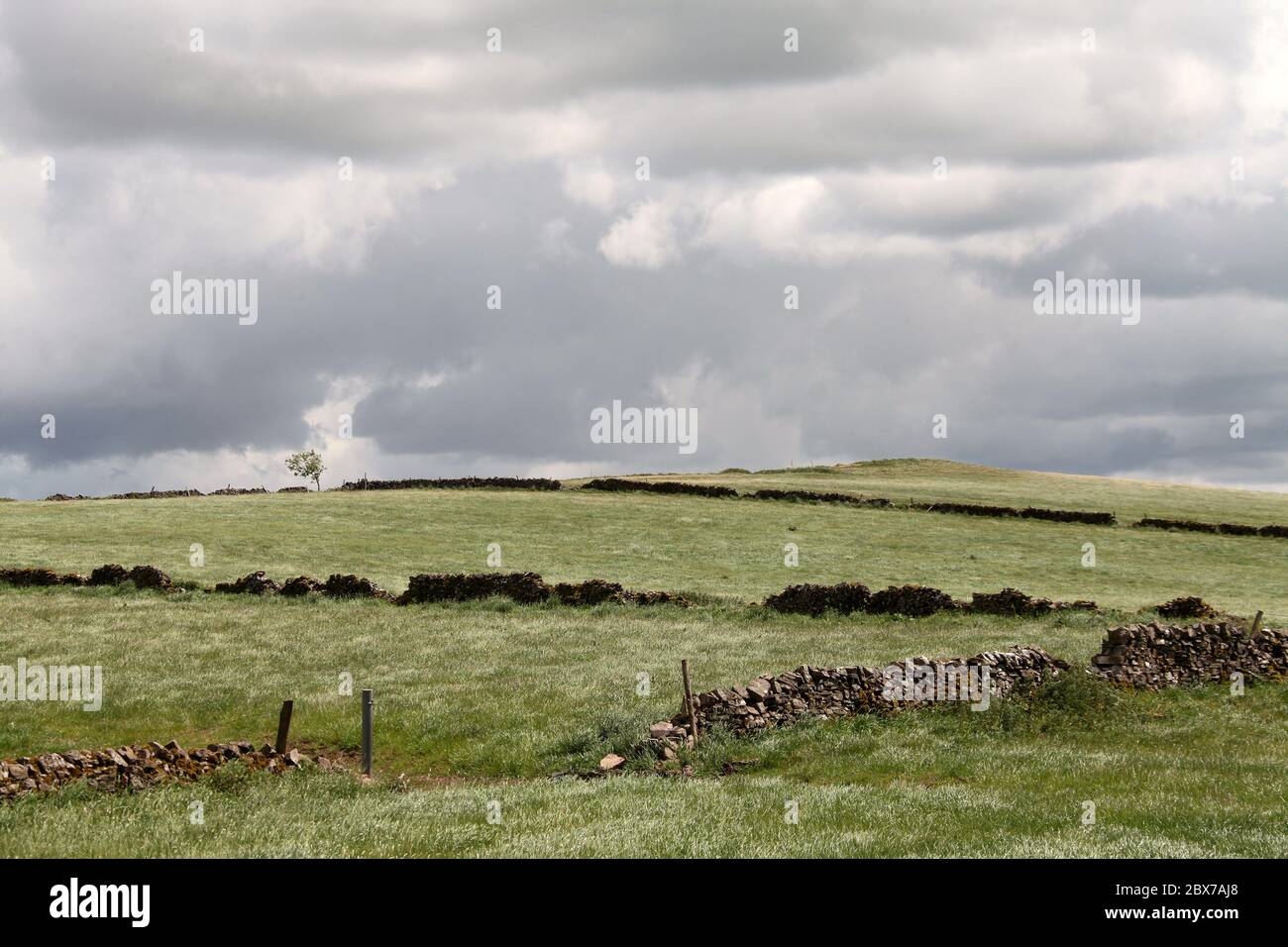 Agricultural land on the Staffordshire Moorlands Stock Photo Alamy