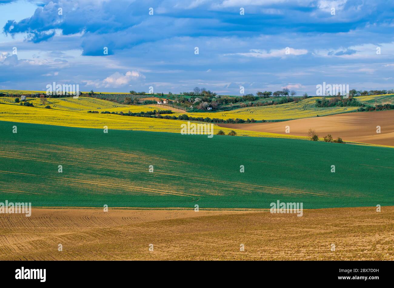 Rural landscape with fields, waves and blue sky with clouds, spring ...