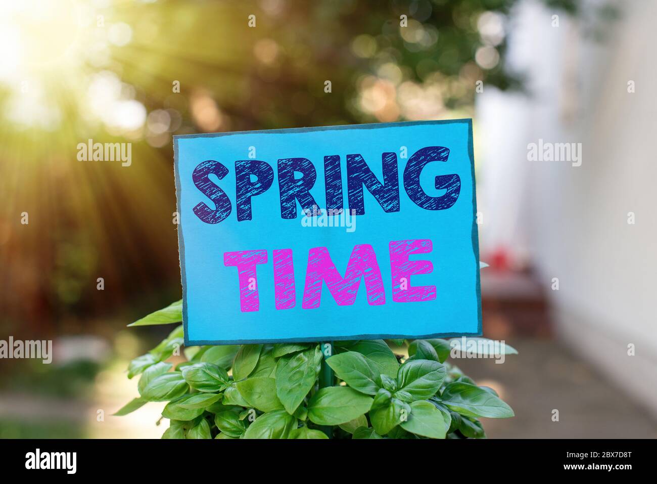 Spring Time Statements Text sign showing Spring Time. Business photo text temperate season of ...