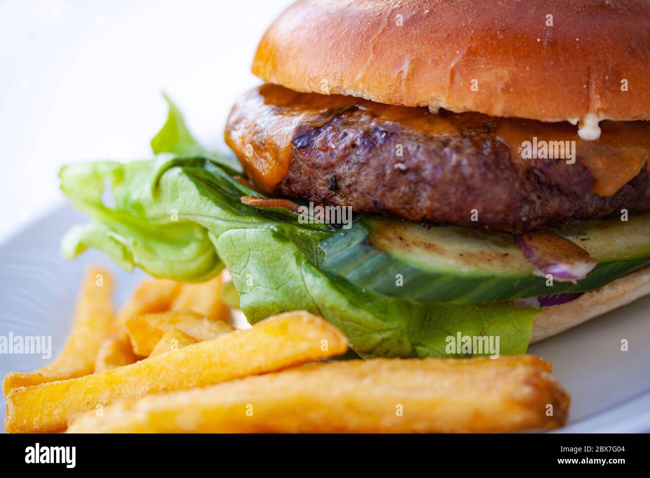 Large juicy burger and delicious crunchy french fries on a white plate. Extreme closeup image