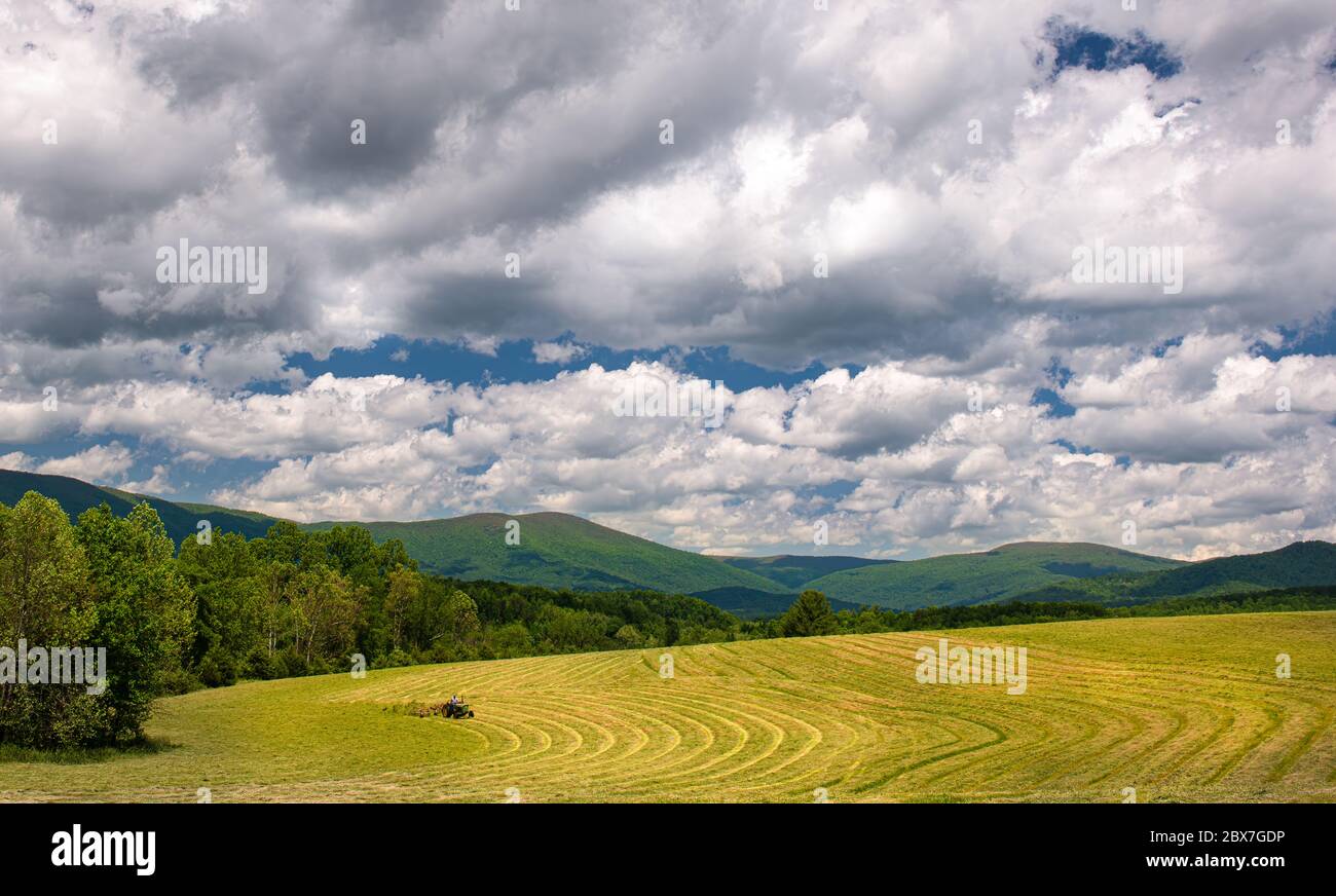 Farmer raking hay in sunny field in late spring in central Virginia at foot of Blue Ridge Mountains and Shenandoah National Park. Stock Photo