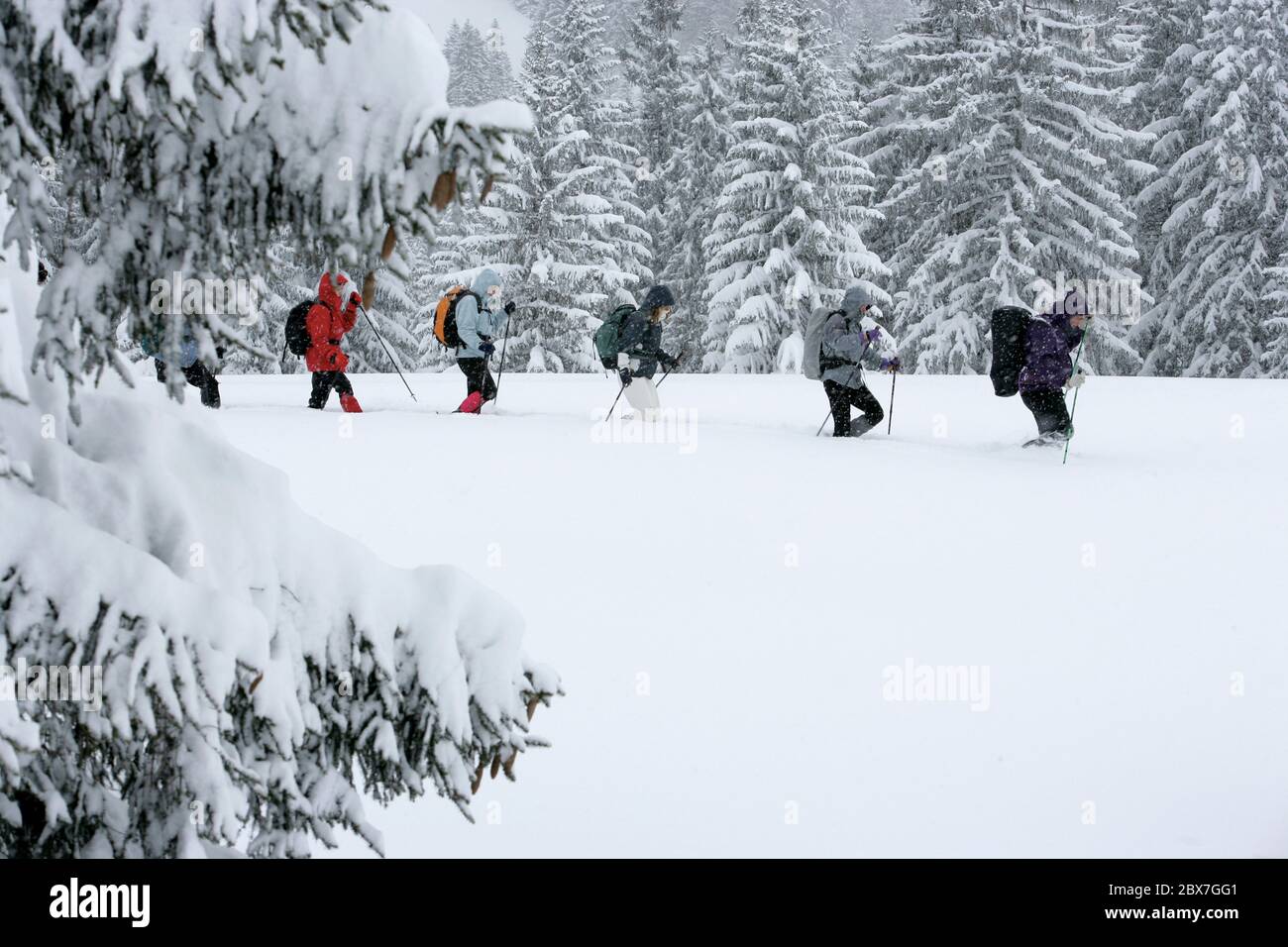 SNOWSHOE HIKE IN BAVARIA Stock Photo