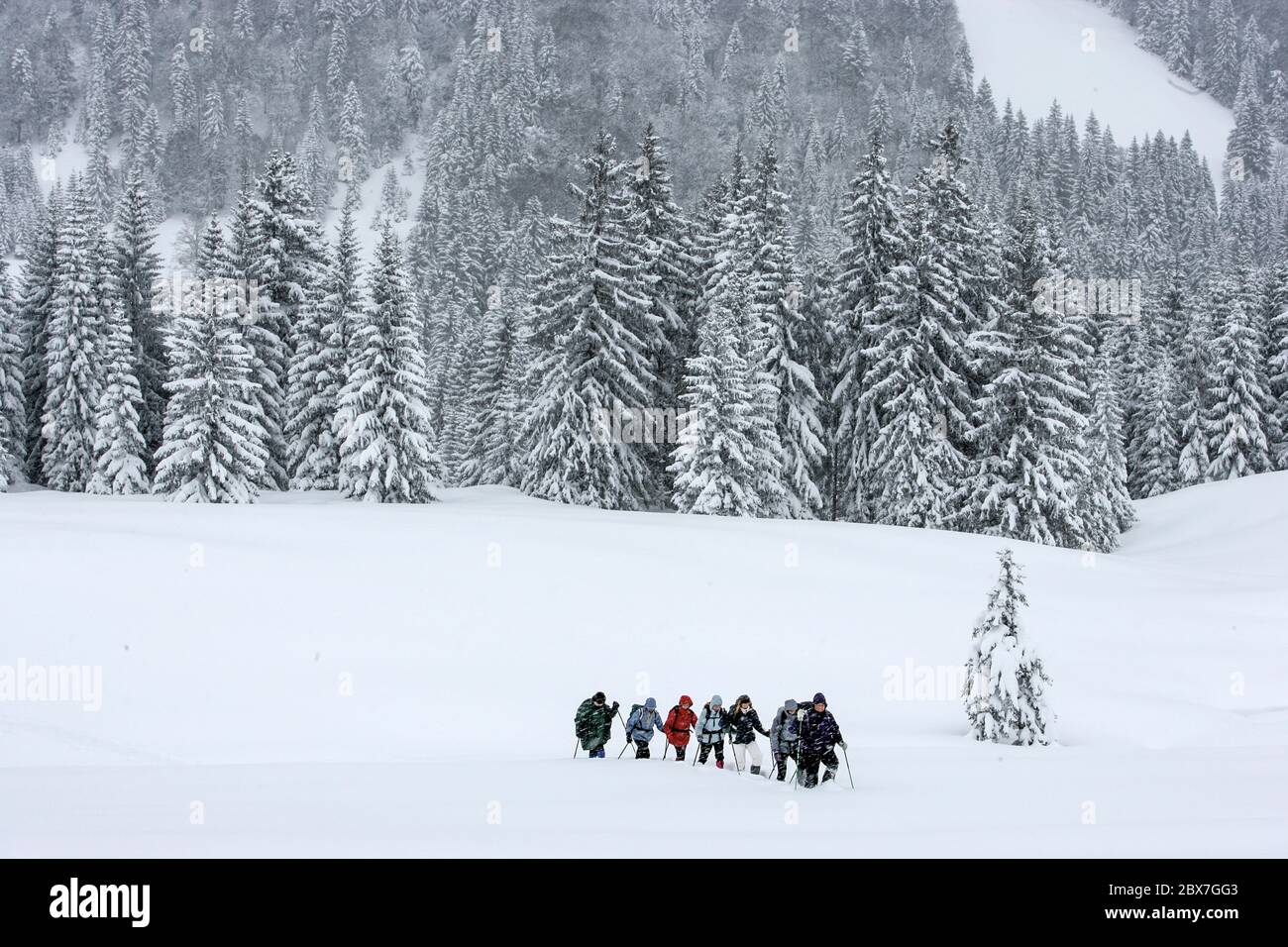 SNOWSHOE HIKE IN BAVARIA Stock Photo