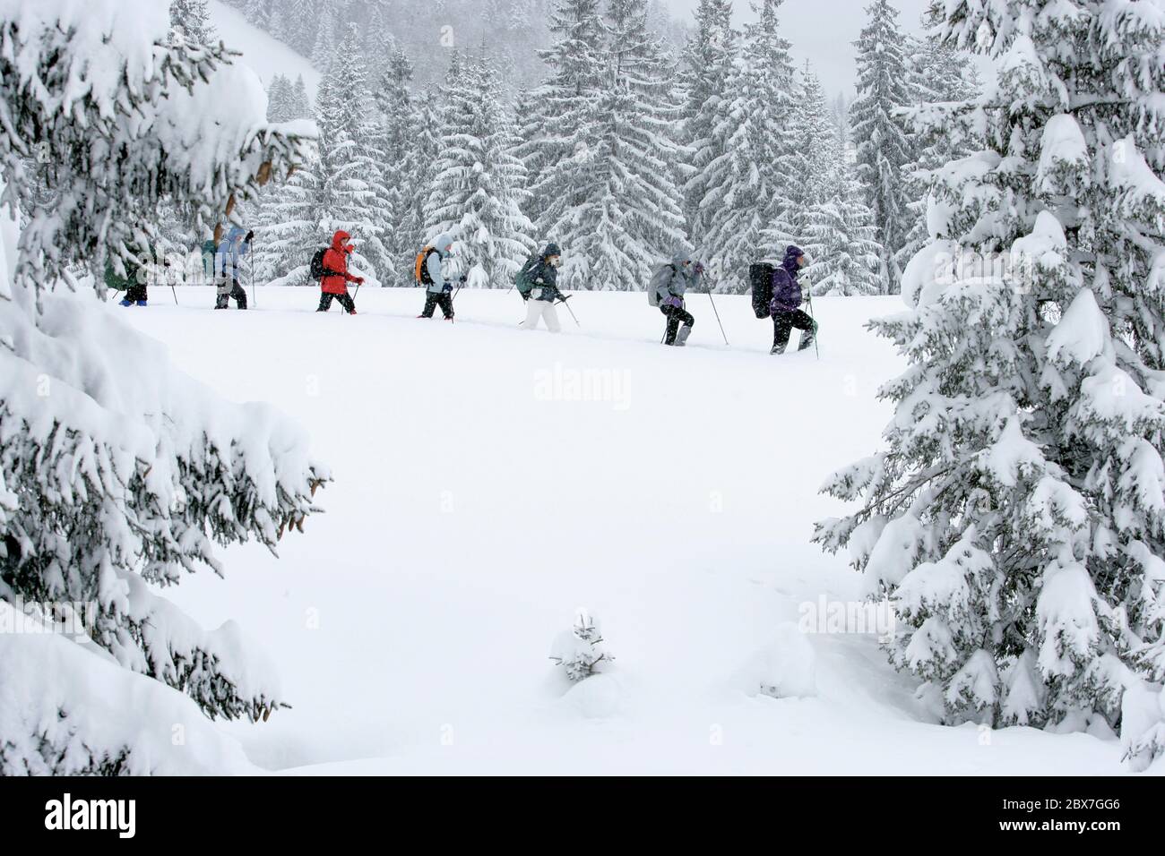SNOWSHOE HIKE IN BAVARIA Stock Photo