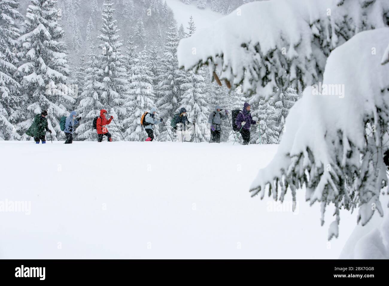 SNOWSHOE HIKE IN BAVARIA Stock Photo