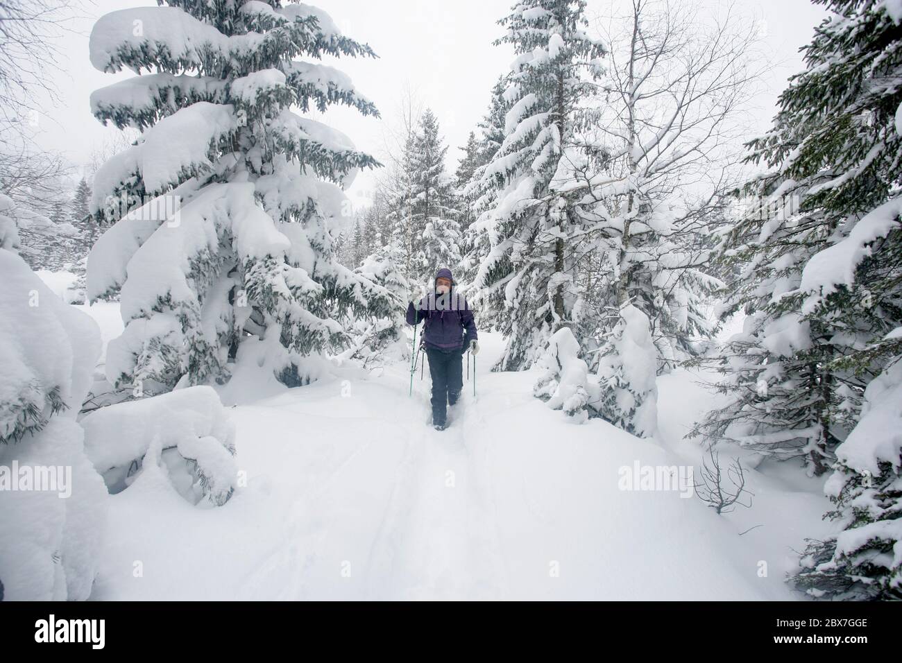 SNOWSHOE HIKE IN BAVARIA Stock Photo