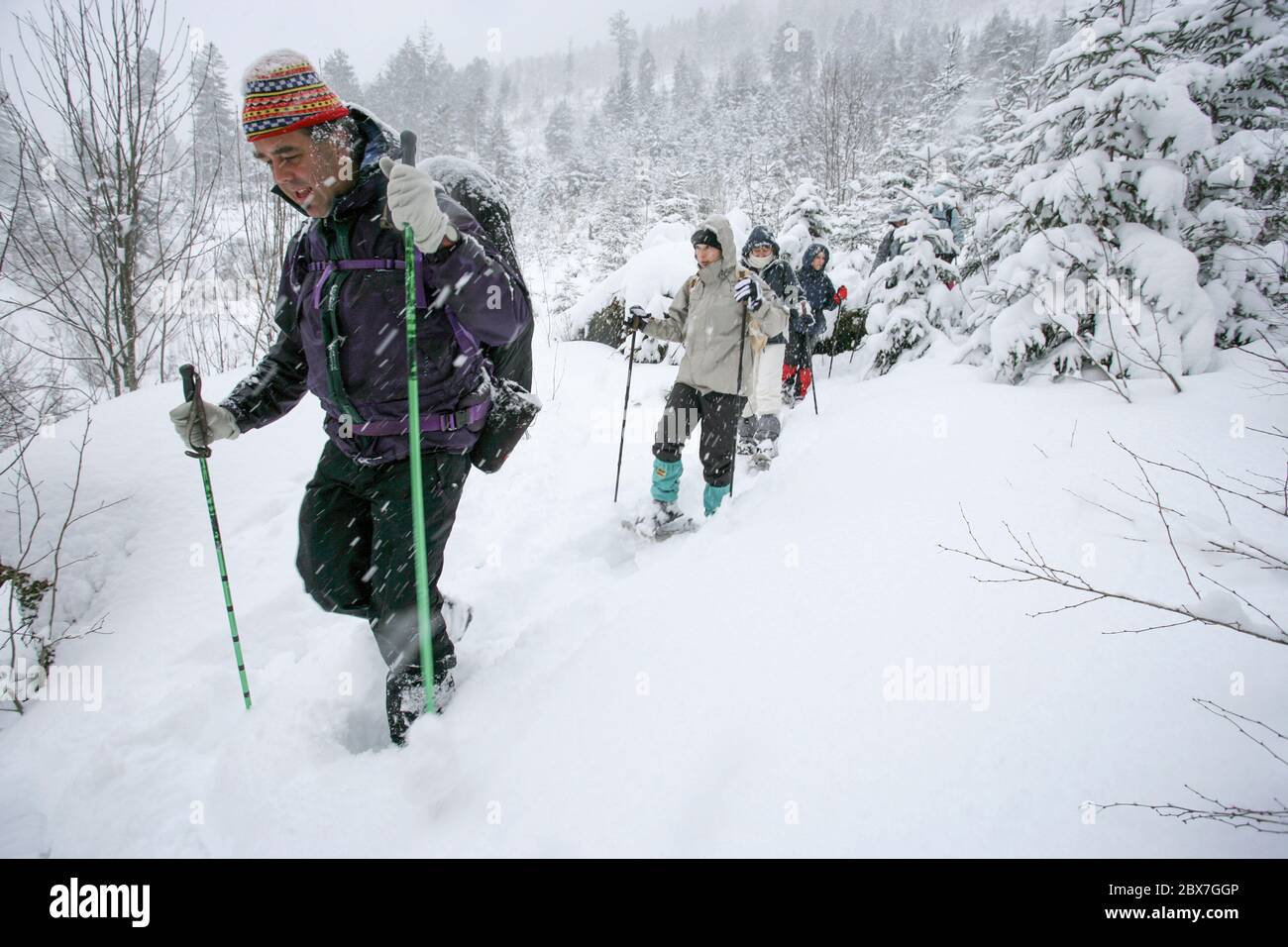 SNOWSHOE HIKE IN BAVARIA Stock Photo