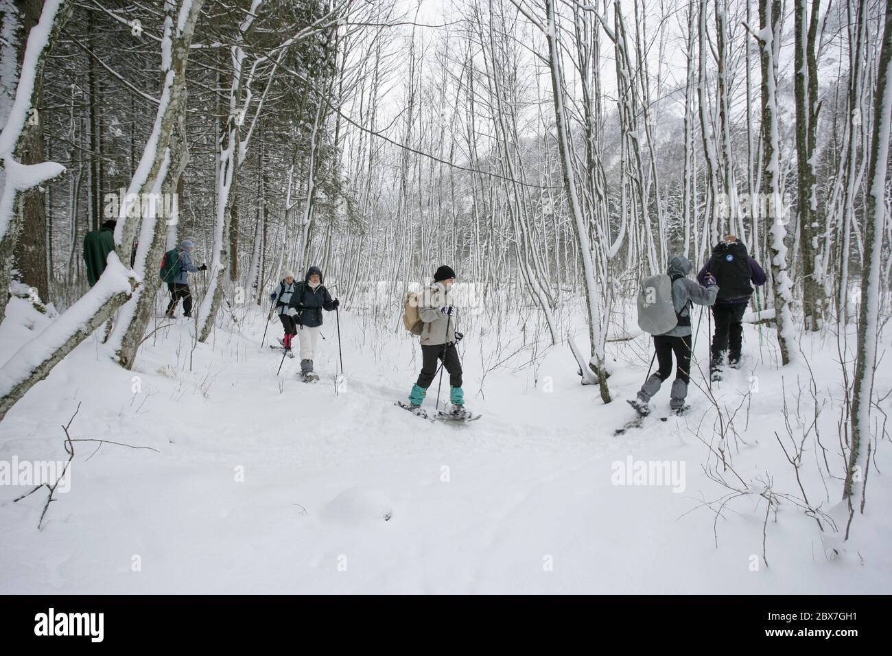 SNOWSHOE HIKE IN BAVARIA Stock Photo