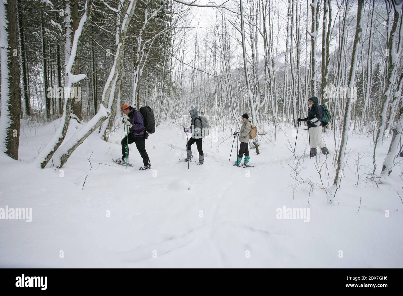 SNOWSHOE HIKE IN BAVARIA Stock Photo