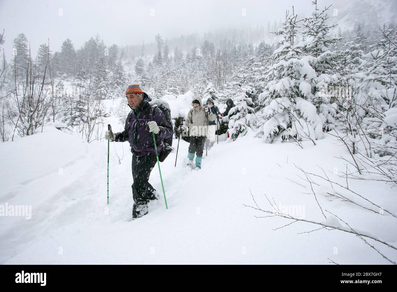 SNOWSHOE HIKE IN BAVARIA Stock Photo