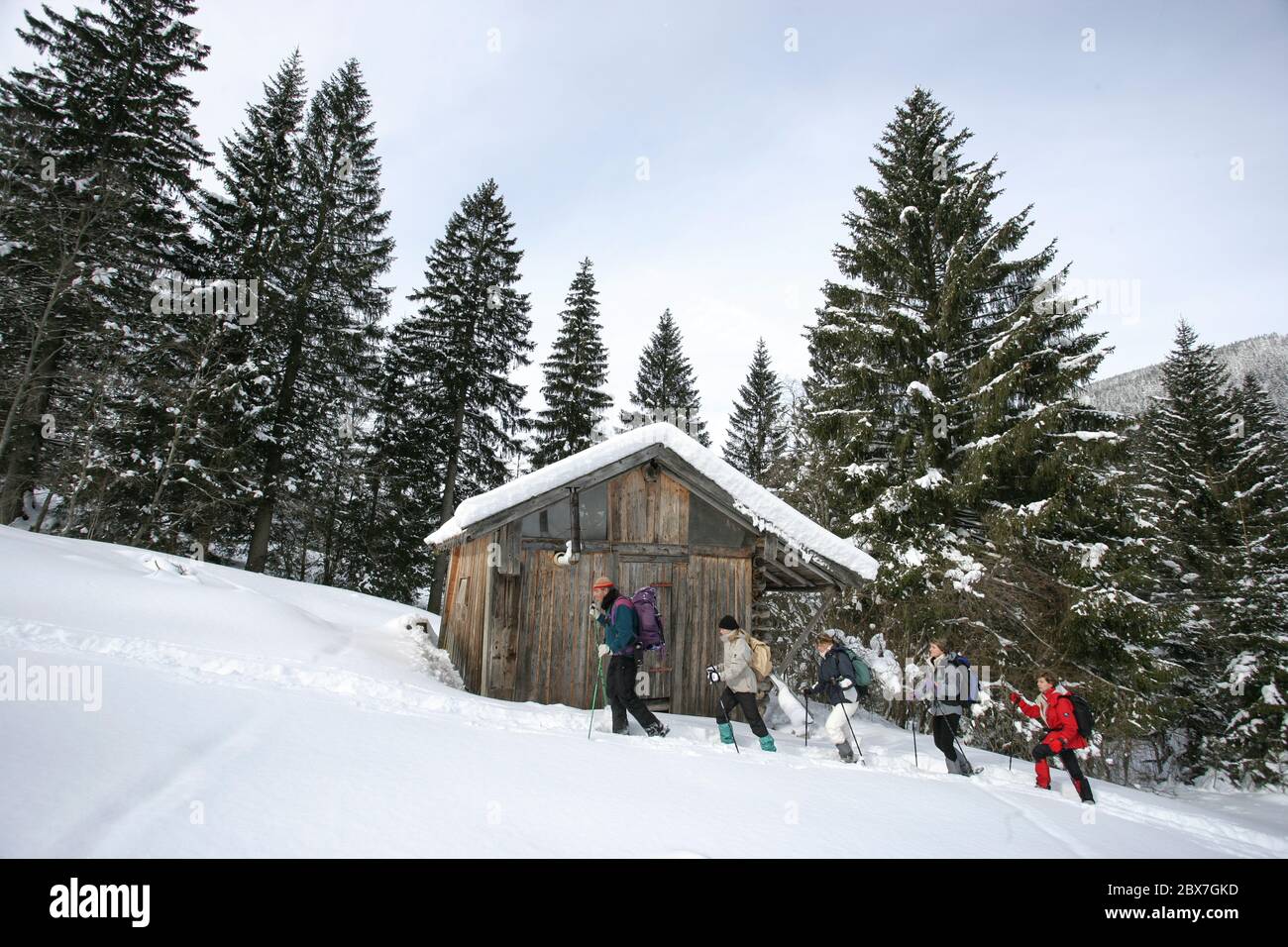 SNOWSHOE HIKE IN BAVARIA Stock Photo