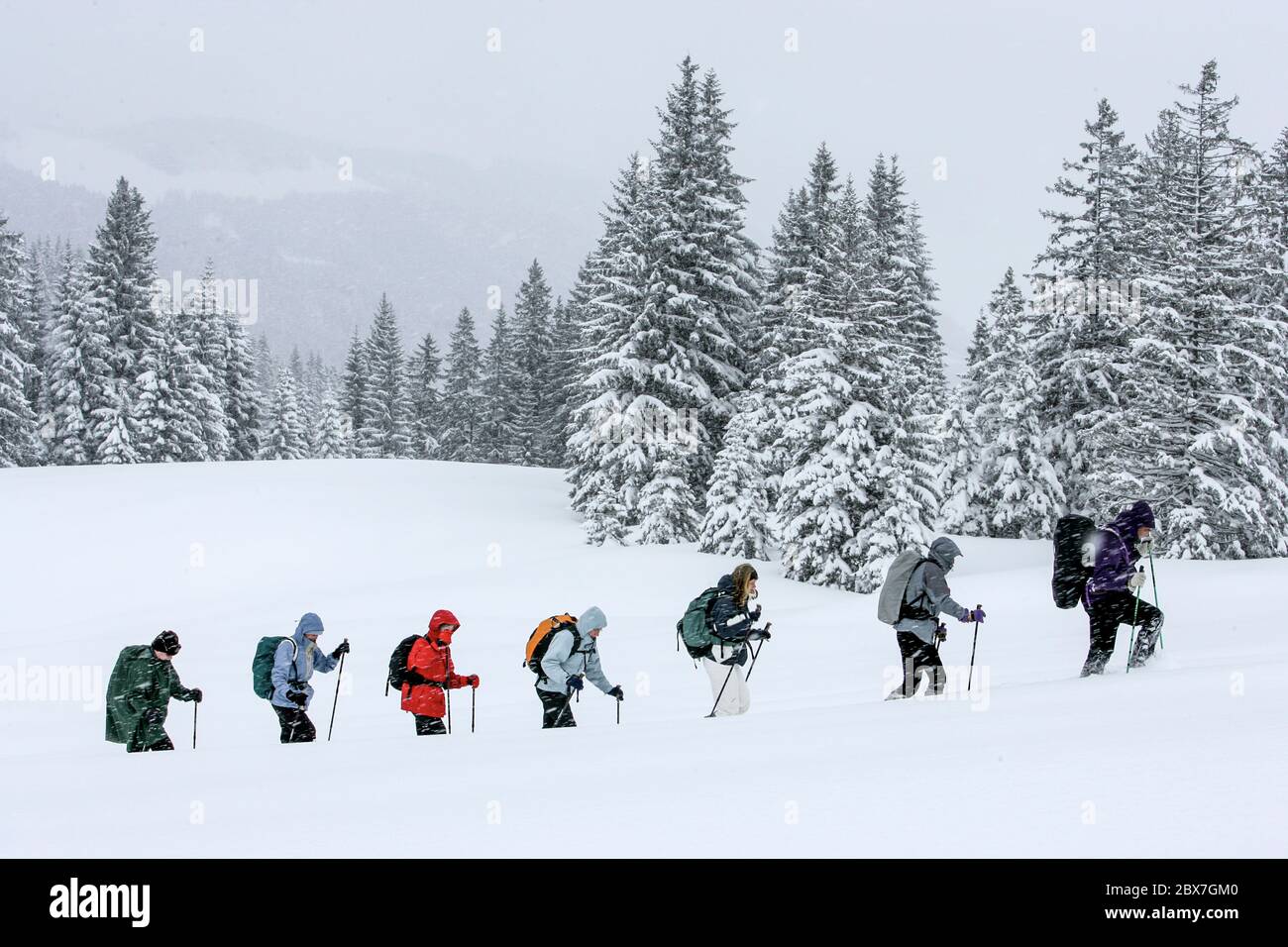 SNOWSHOE HIKE IN BAVARIA Stock Photo